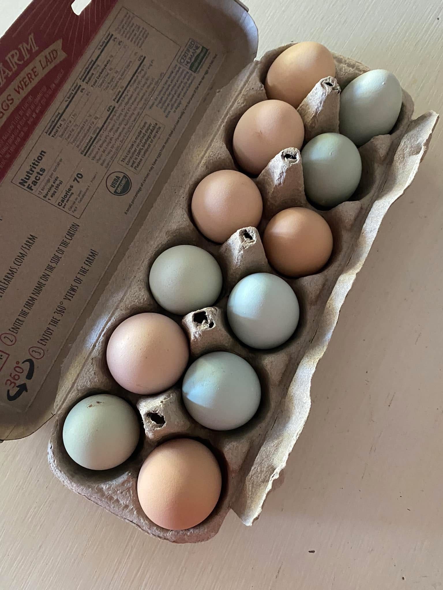 Fresh Chicken eggs