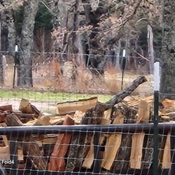 Firewood for cooking $100 a cord