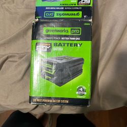 Greenworks Battery
