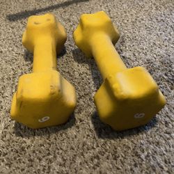 6 Lbs Weight Set 