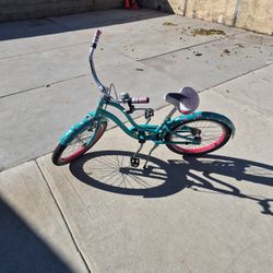 20-in Beach Cruiser