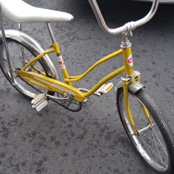 Classic Banana Seat 70's Bike.