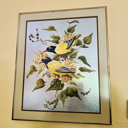 Photo Frames