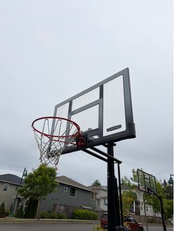 Lifetime Basketball Hoop (Adjustable Height)