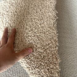 Carpet For Sale 