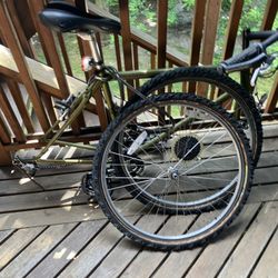 Mountain Bike