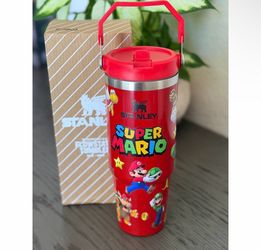 Mario 30oz Stanley