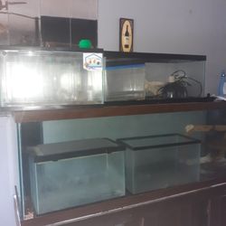 Fish Tank For Sale 