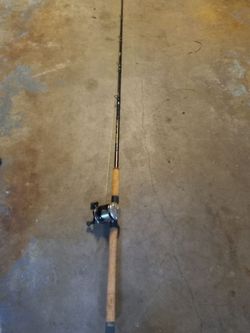 Shakespeare Ugly Stik Lite graphite rod/reel combo