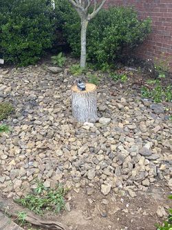 Free Rocks - Must pick up