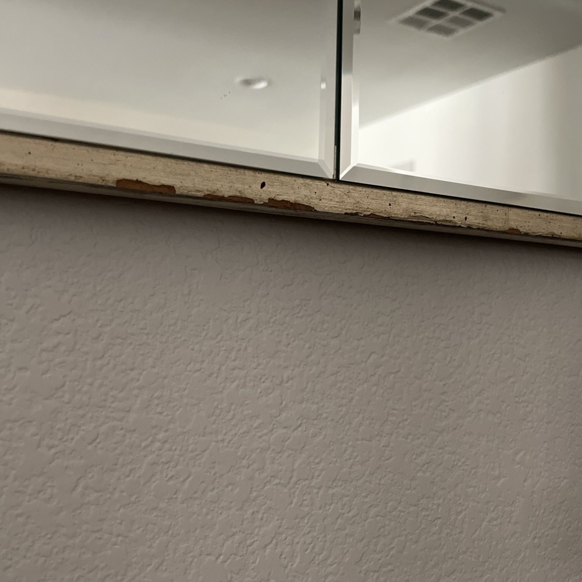 Z Gallery Champagne Beveled Mirror