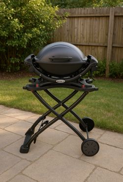 Weber Electric grill