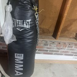 Punching Bag 