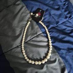 Brand New Necklace And Earrings 