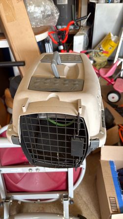 Pet taxi