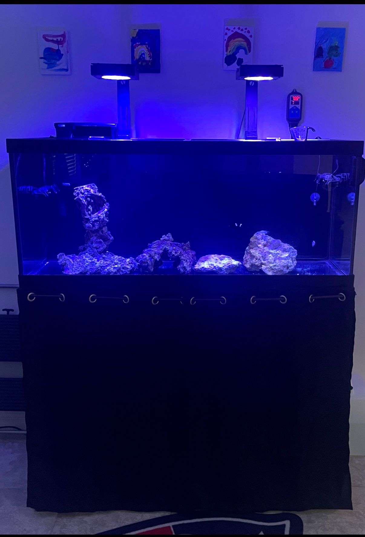 75 Gallon Aquarium