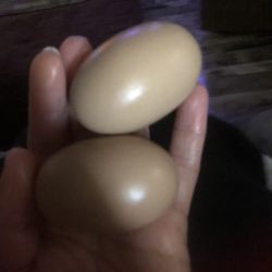 Decor Eggs