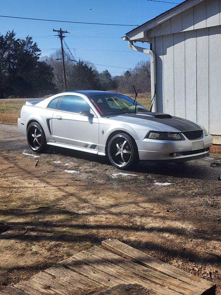 2000 Ford Mustang