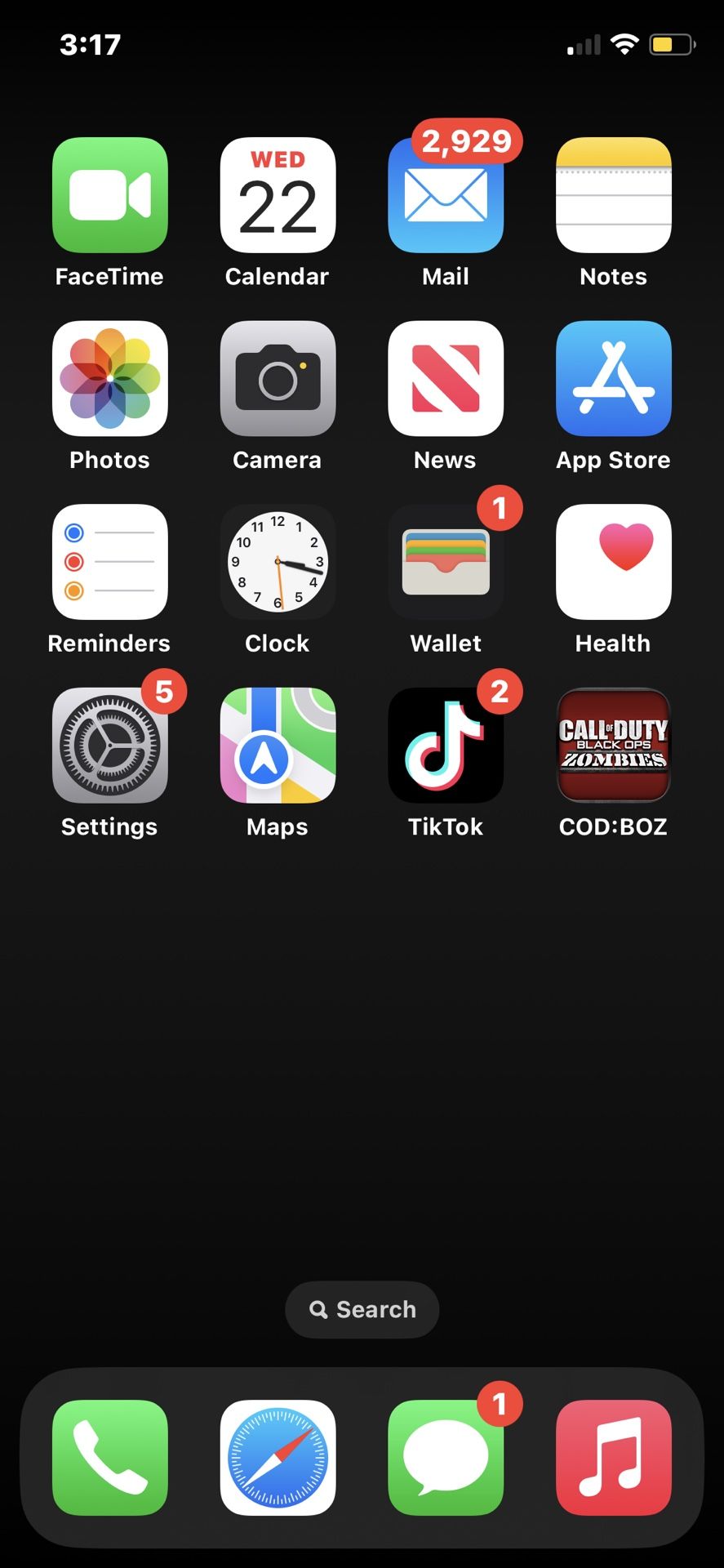 iPhone X With TikTok