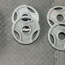 45lbs Olympic Plate Set by Fitness Gear