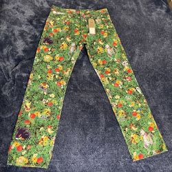 NWT Levi's x Pokemon Men's Pokemon Garden Jeans  551Z Straight Size 32 x 32