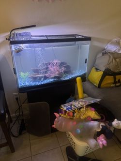 20 Gallon Fish Tank With Stand