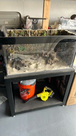 40 Gallon Acrylic Aquarium with 3D Background, Filter & Heater