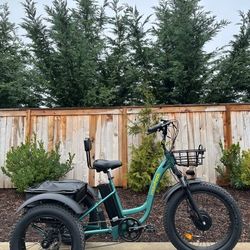 Maxfoot MF-30 Cargo Electric Trike — Comfort Senior Tricycle e-trike