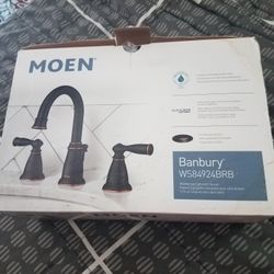 Moen Faucet