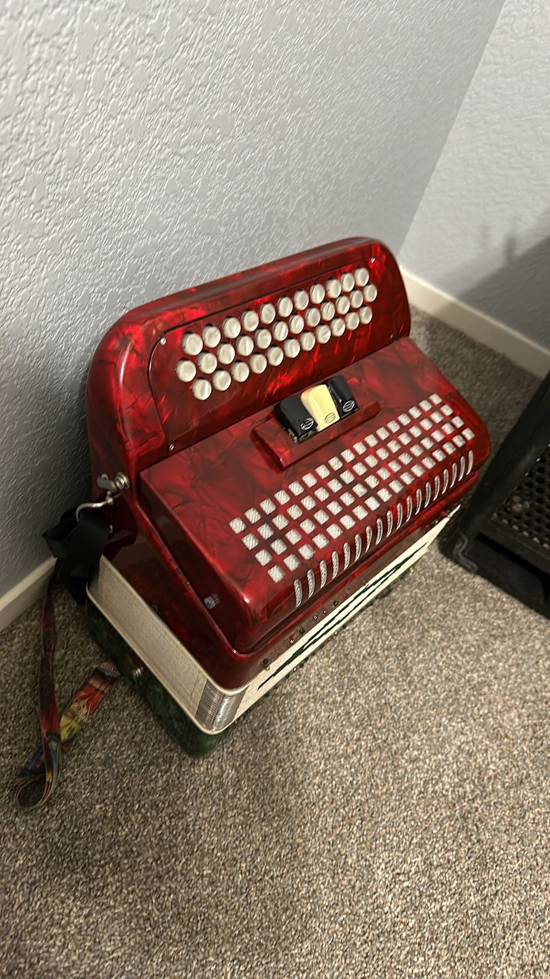 Accordion Sofia Maria