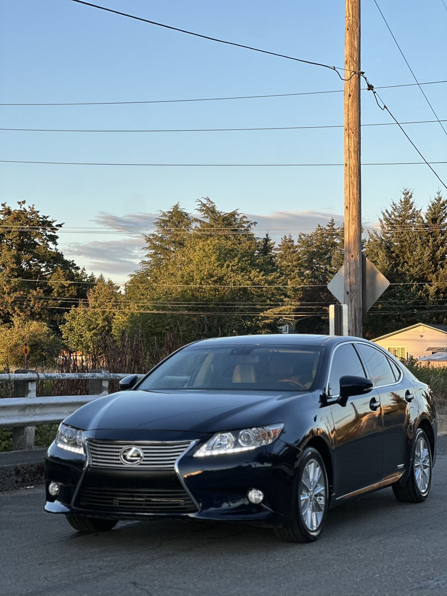 2013 Lexus ES 300h