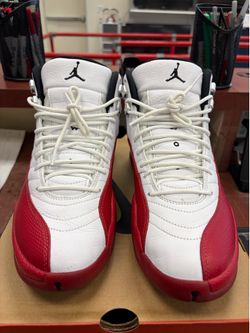 Air Jordan 12 retro