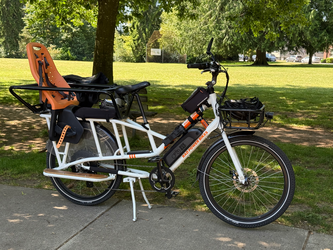 RadWagon 3 (white) with accessories