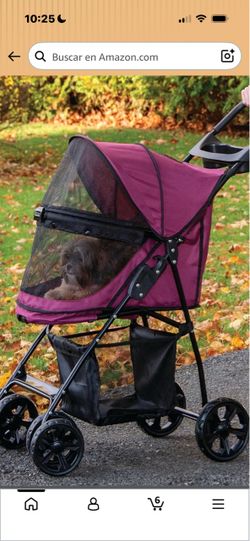 Coche sito de perro