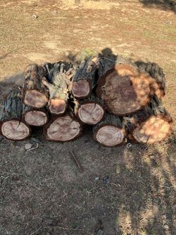 Firewood