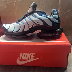 Nike  Max Plus Blue 