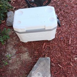 Igloo Cooler