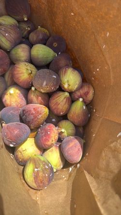 Figs