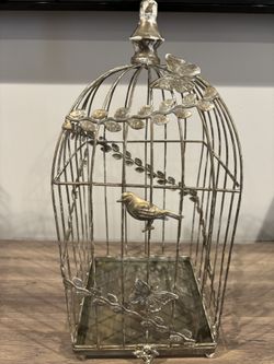 Bird Cage 
