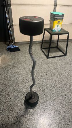 EZ Curl Bar 90lbs