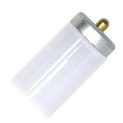 Fluorescent 6ft  Bulbs - Single Pin