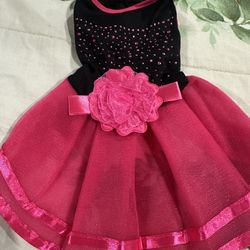 New Dress For Small Dog