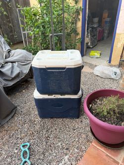 Coolers