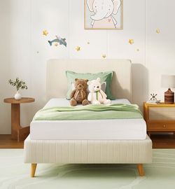 Twin Mattresses And Bed Frames For Sale!