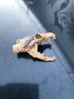 Aztec Death Whistle