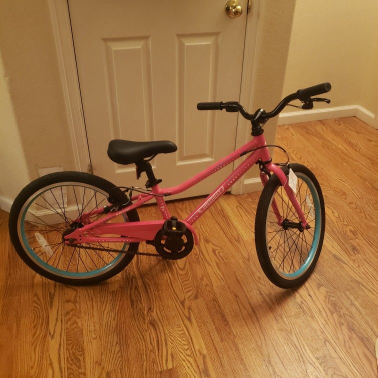 Guardian 20" Small Pink Bike