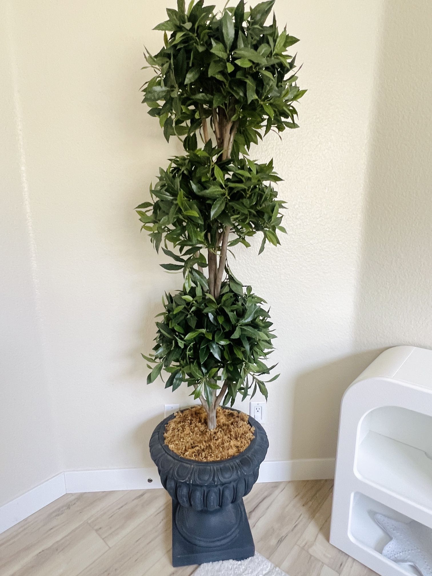 6ft Life-like Plant