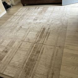 Rug And Sleeper Sofa 