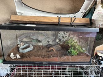 Reptile Enclosure