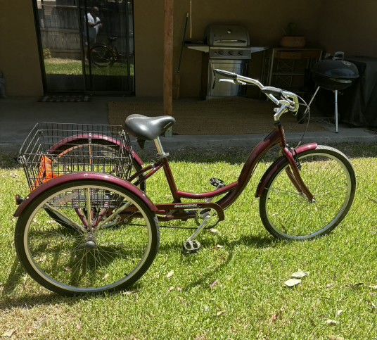 schwinn 3 wheel Bike 